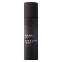 HOLD & GLOSS SPRAY