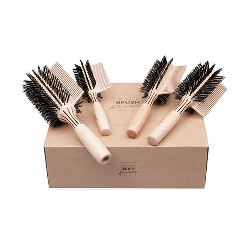 ANGEL BRUSH REVOLUTION